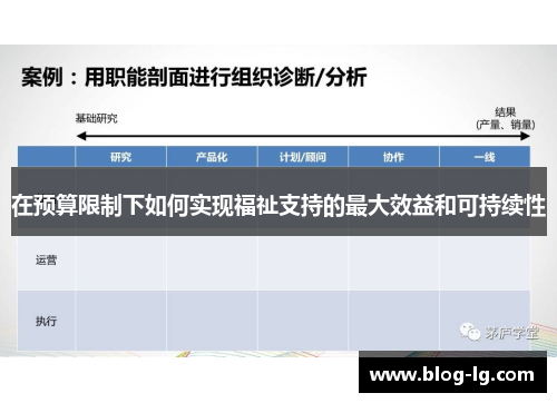 在预算限制下如何实现福祉支持的最大效益和可持续性